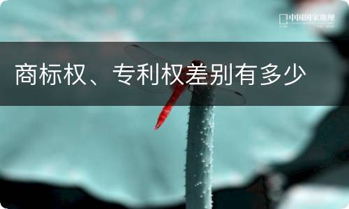 商标权、专利权差别有多少
