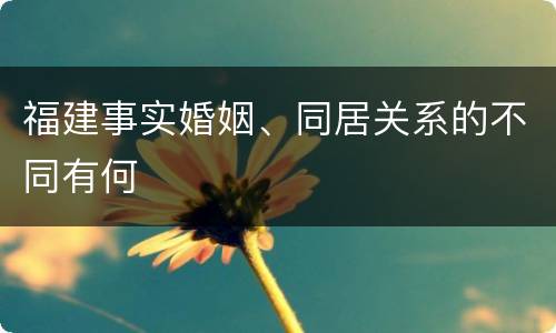 福建事实婚姻、同居关系的不同有何