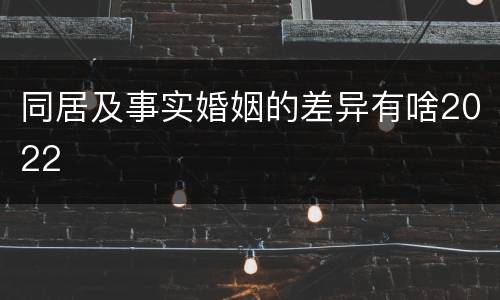 同居及事实婚姻的差异有啥2022