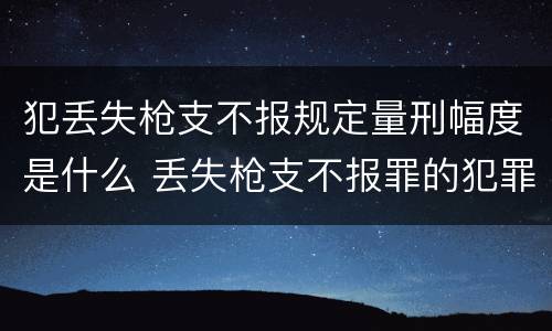 犯丢失枪支不报规定量刑幅度是什么 丢失枪支不报罪的犯罪主体只能是什么