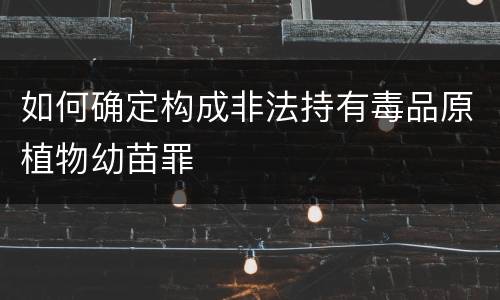 如何确定构成非法持有毒品原植物幼苗罪