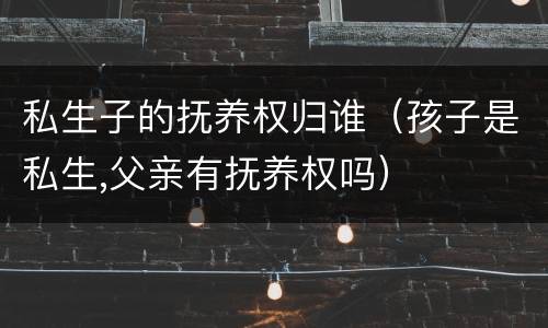 私生子的抚养权归谁（孩子是私生,父亲有抚养权吗）