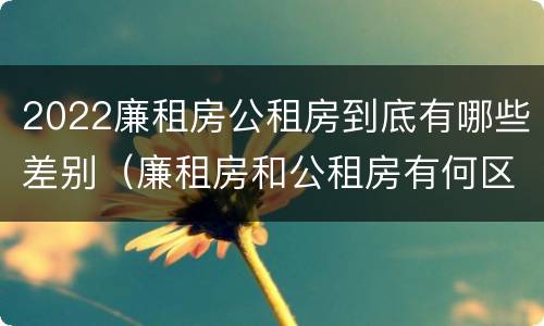 2022廉租房公租房到底有哪些差别（廉租房和公租房有何区别）