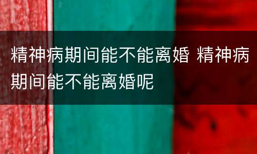精神病期间能不能离婚 精神病期间能不能离婚呢
