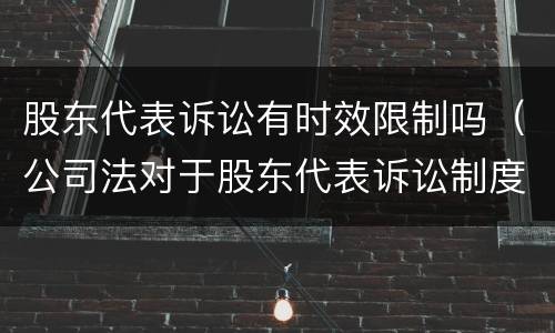 股东代表诉讼有时效限制吗（公司法对于股东代表诉讼制度的规定）