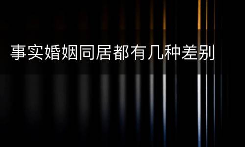 事实婚姻同居都有几种差别