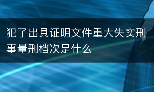 犯了出具证明文件重大失实刑事量刑档次是什么