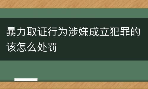 暴力取证行为涉嫌成立犯罪的该怎么处罚