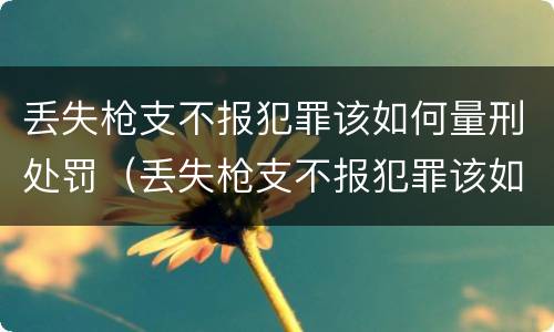 丢失枪支不报犯罪该如何量刑处罚（丢失枪支不报犯罪该如何量刑处罚呢）