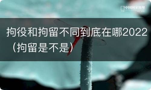 拘役和拘留不同到底在哪2022（拘留是不是）