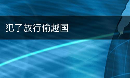 犯了放行偷越国