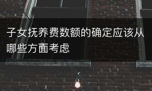 子女抚养费数额的确定应该从哪些方面考虑