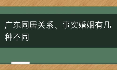 广东同居关系、事实婚姻有几种不同