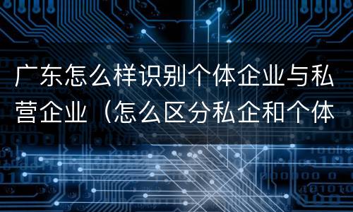 广东怎么样识别个体企业与私营企业（怎么区分私企和个体）