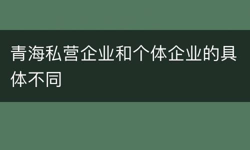 青海私营企业和个体企业的具体不同