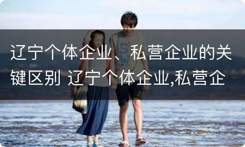 辽宁个体企业、私营企业的关键区别 辽宁个体企业,私营企业的关键区别在于