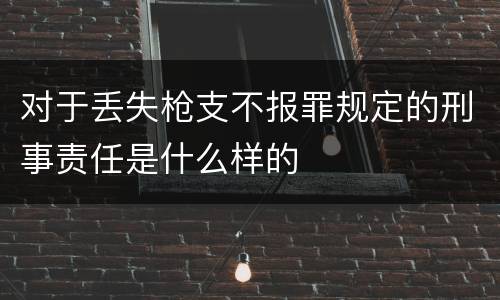 对于丢失枪支不报罪规定的刑事责任是什么样的
