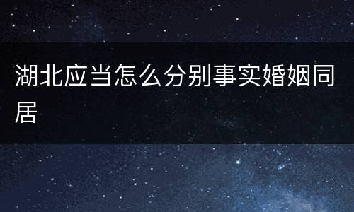 湖北应当怎么分别事实婚姻同居