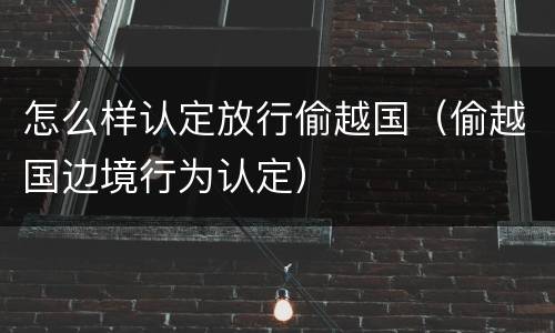 怎么样认定放行偷越国（偷越国边境行为认定）