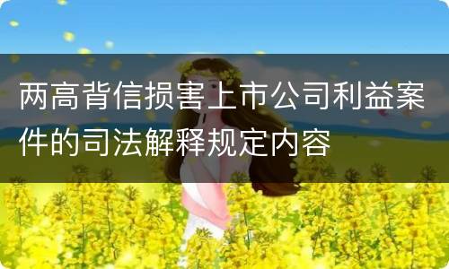 两高背信损害上市公司利益案件的司法解释规定内容