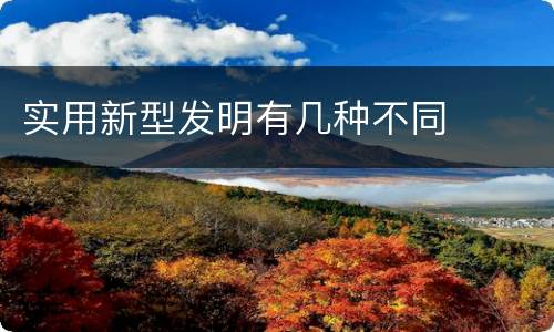 实用新型发明有几种不同