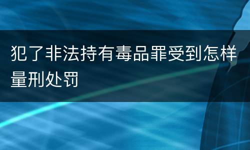 犯了非法持有毒品罪受到怎样量刑处罚