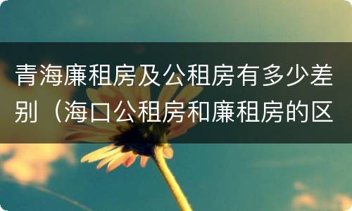 青海廉租房及公租房有多少差别（海口公租房和廉租房的区别）