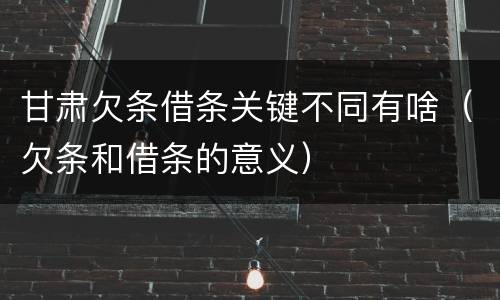 甘肃欠条借条关键不同有啥（欠条和借条的意义）