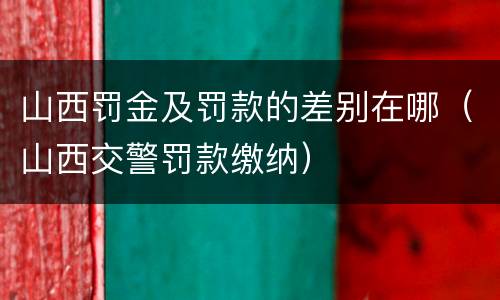 山西罚金及罚款的差别在哪（山西交警罚款缴纳）