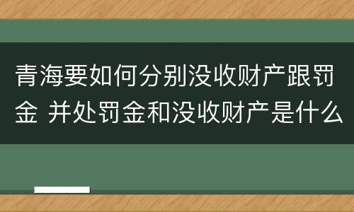 青海要如何分别没收财产跟罚金 并处罚金和没收财产是什么意思