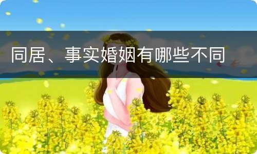 同居、事实婚姻有哪些不同