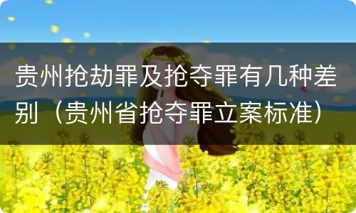 贵州抢劫罪及抢夺罪有几种差别（贵州省抢夺罪立案标准）