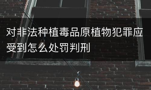 对非法种植毒品原植物犯罪应受到怎么处罚判刑