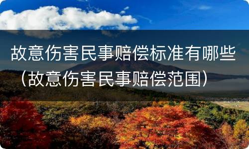 故意伤害民事赔偿标准有哪些（故意伤害民事赔偿范围）