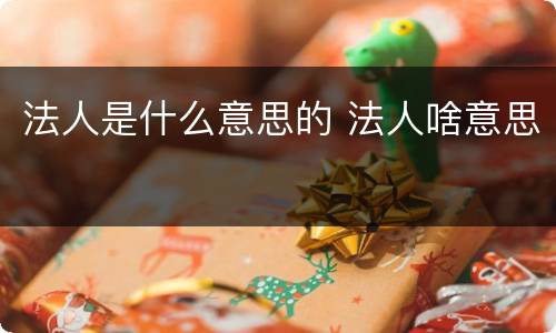 法人是什么意思的 法人啥意思