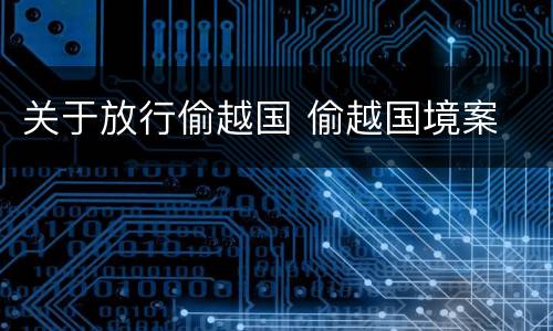 关于放行偷越国 偷越国境案