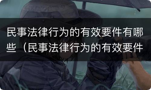 民事法律行为的有效要件有哪些（民事法律行为的有效要件有哪些内容）