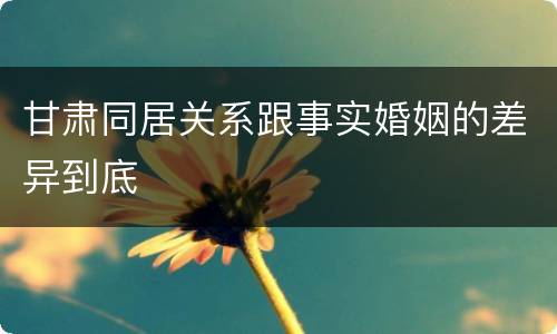 甘肃同居关系跟事实婚姻的差异到底
