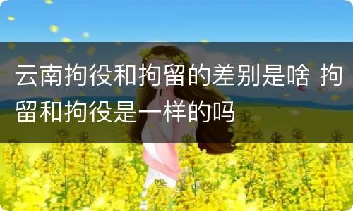 云南拘役和拘留的差别是啥 拘留和拘役是一样的吗
