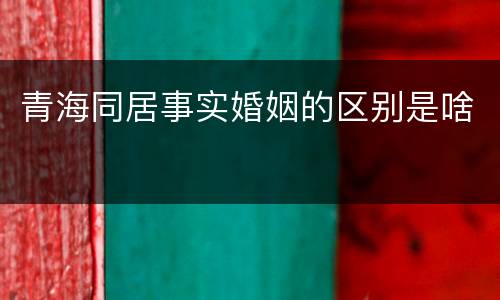青海同居事实婚姻的区别是啥
