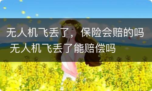 无人机飞丢了，保险会赔的吗 无人机飞丢了能赔偿吗