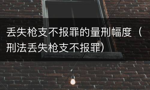丢失枪支不报罪的量刑幅度（刑法丢失枪支不报罪）
