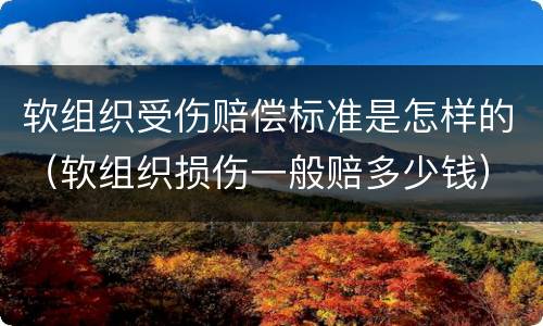 软组织受伤赔偿标准是怎样的（软组织损伤一般赔多少钱）