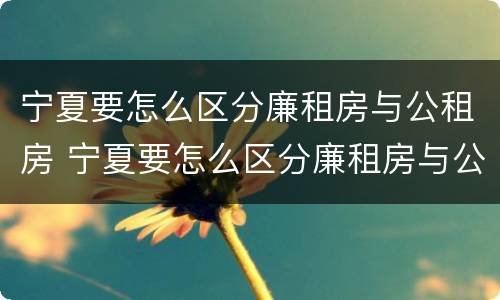 宁夏要怎么区分廉租房与公租房 宁夏要怎么区分廉租房与公租房呢