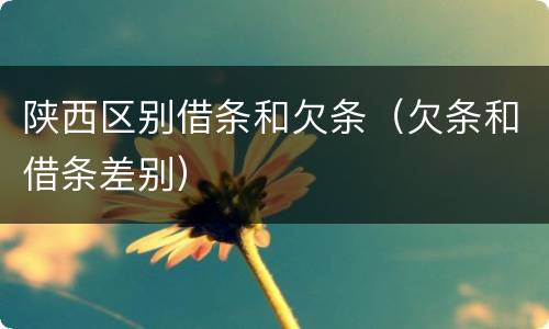 陕西区别借条和欠条（欠条和借条差别）