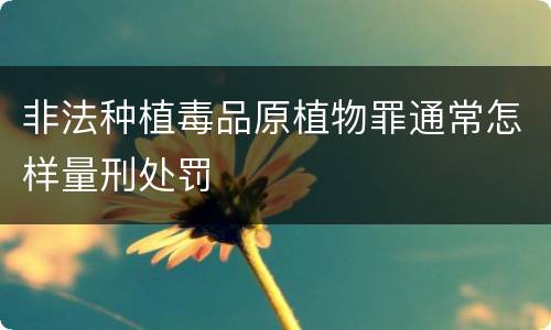 非法种植毒品原植物罪通常怎样量刑处罚