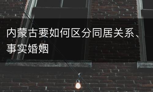 内蒙古要如何区分同居关系、事实婚姻