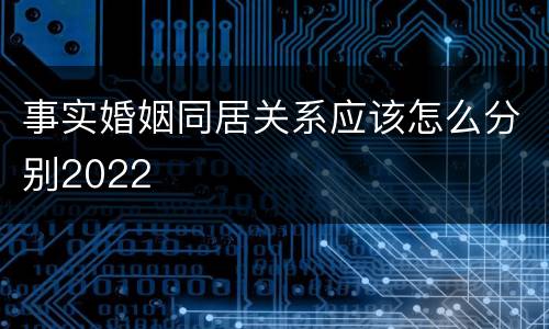 事实婚姻同居关系应该怎么分别2022