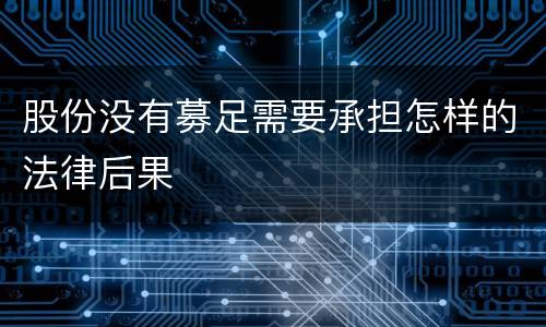 股份没有募足需要承担怎样的法律后果