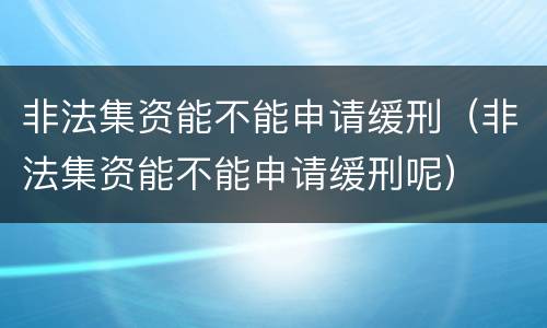 非法集资能不能申请缓刑（非法集资能不能申请缓刑呢）